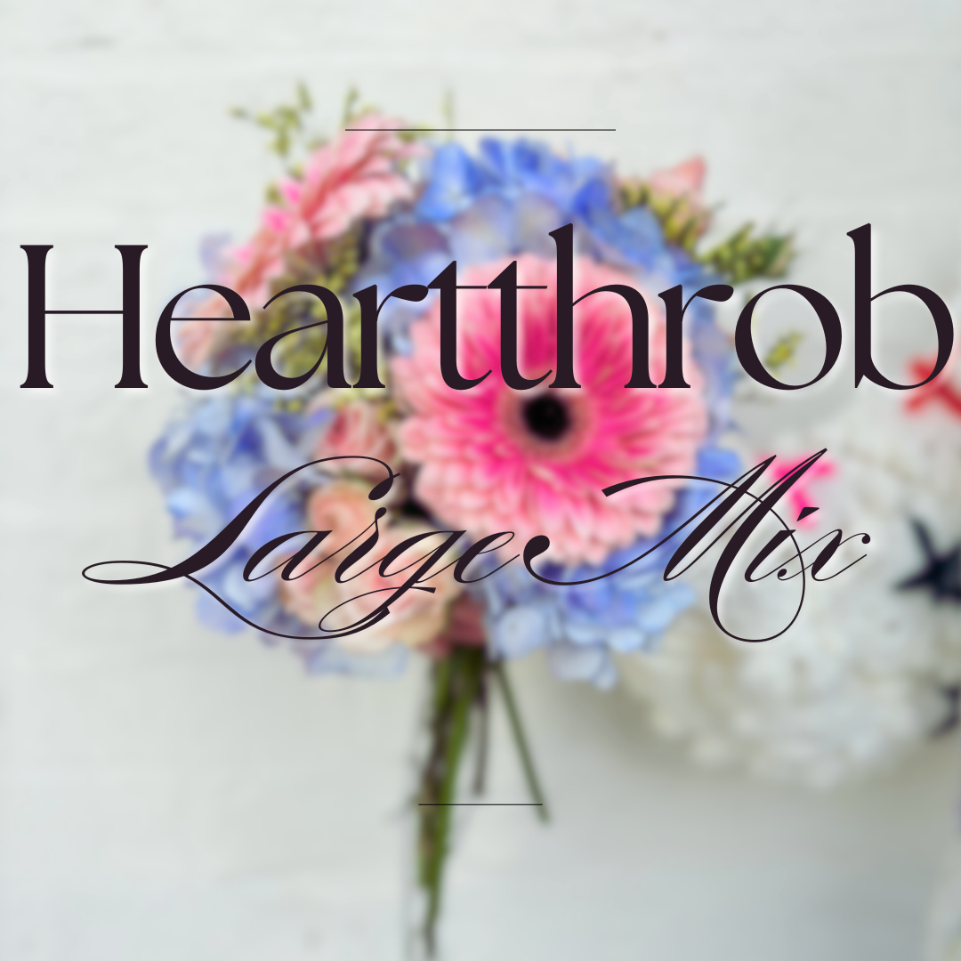 Heartthrob Large Mix