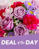 Mother's Day Deal of the Day